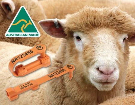 shearwell sheep tags australia